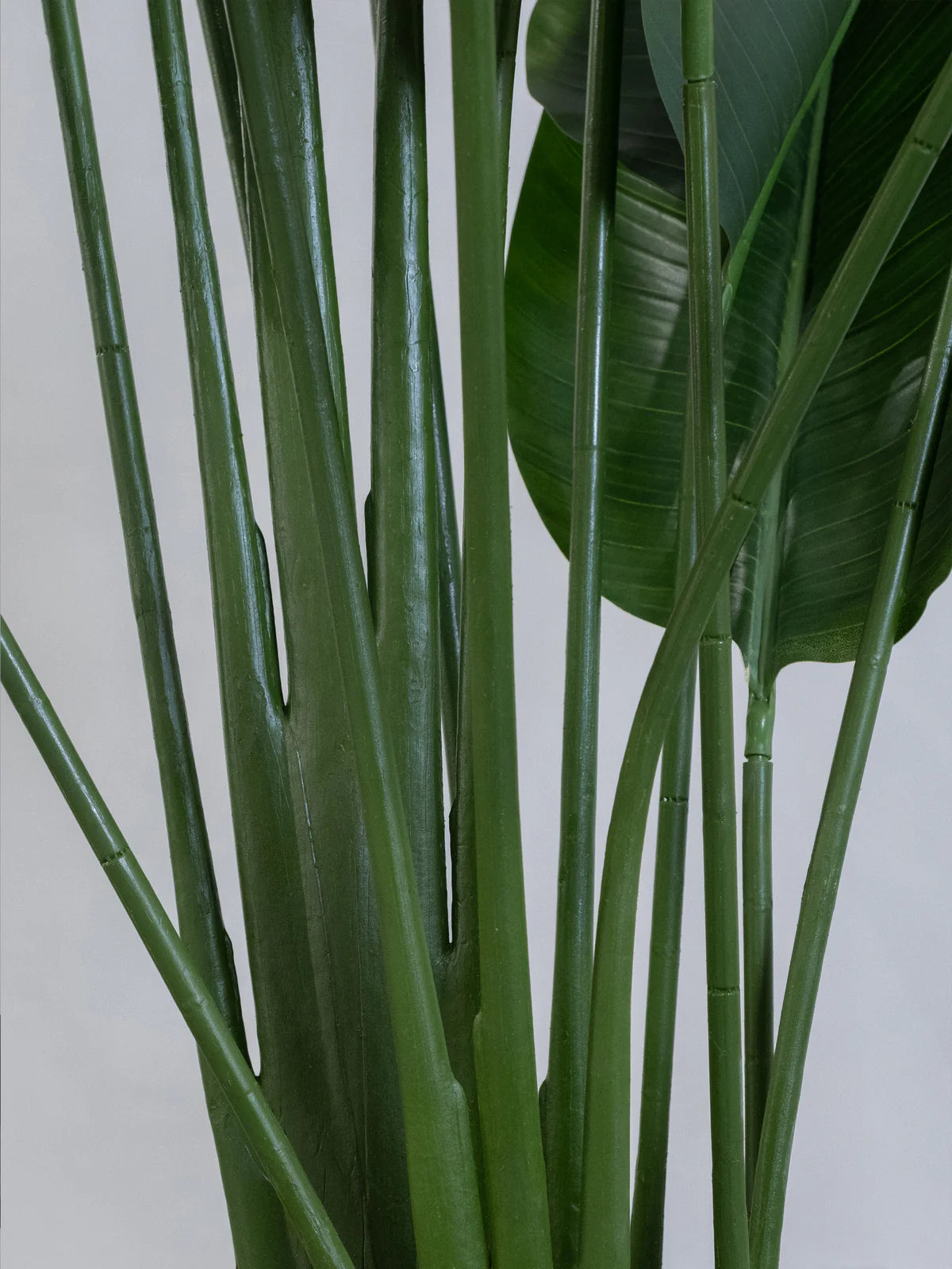 Artificial Banana Plant (XL SIZE)
