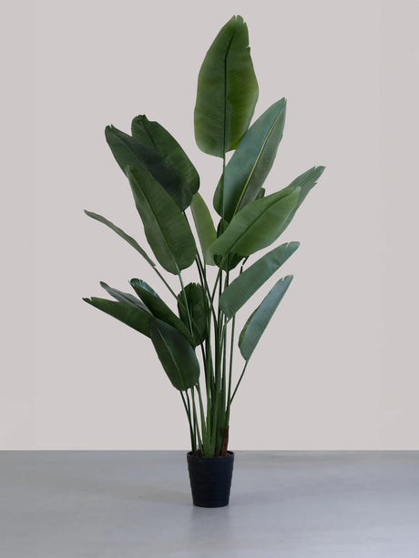 Artificial Banana Plant (XL SIZE)
