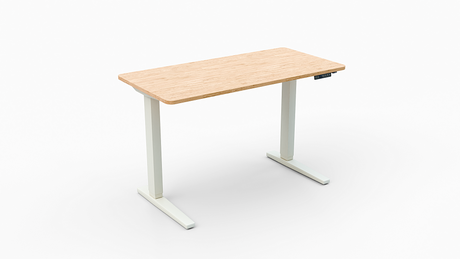 120x60 Classic Standing Desk