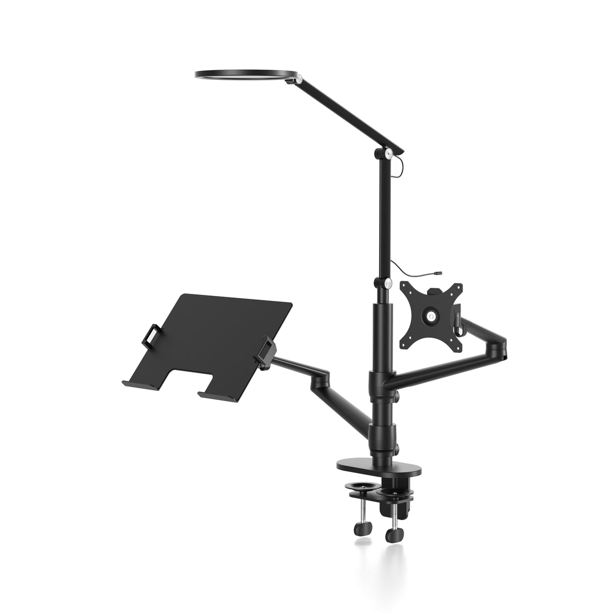 Monitor and Laptop Arm with Lamp